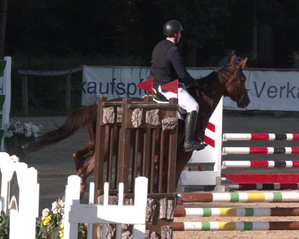 Reitturnier Ranshofen - Braunau am Inn 2023