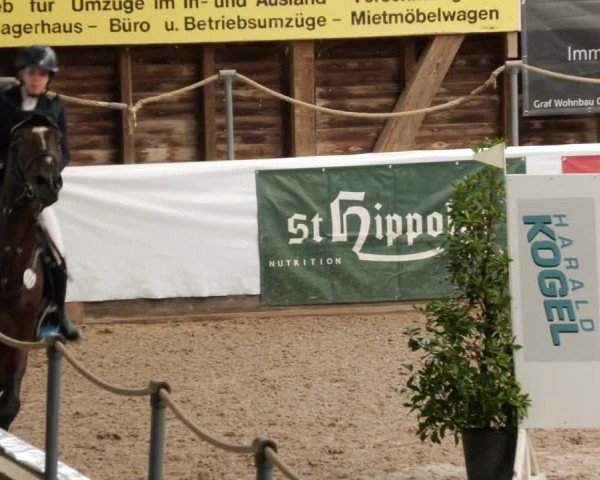Reitturnier Böblingen 2023