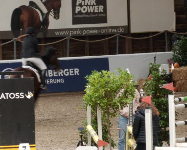 Reitturnier Böblingen 2023