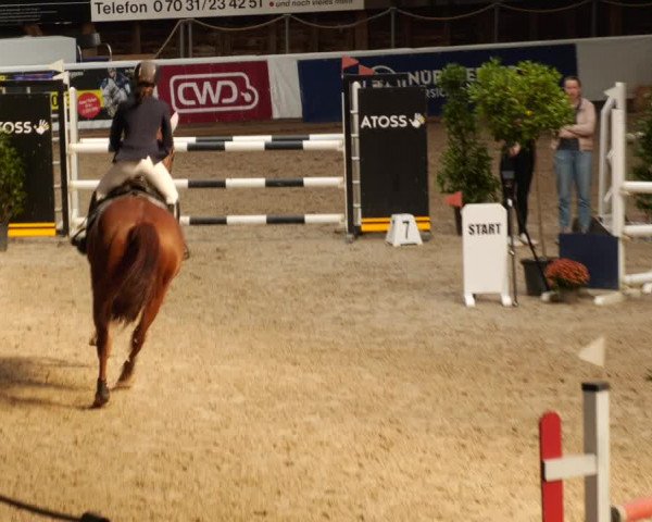 Reitturnier Böblingen 2023