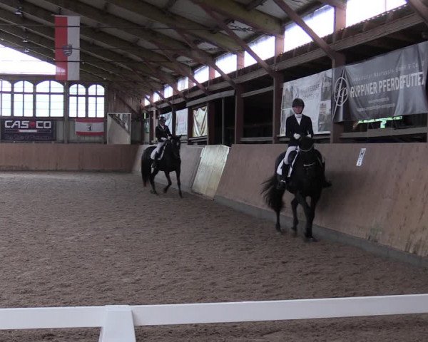 Reitturnier Elisenau 2023