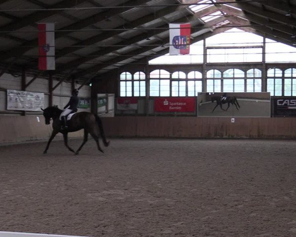 Reitturnier Elisenau 2023