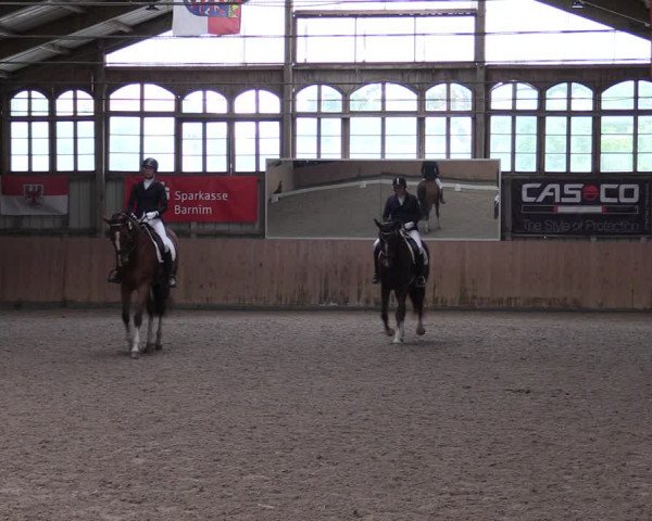 Reitturnier Elisenau 2023
