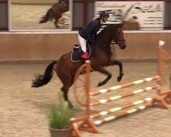 Reitturnier Behrendorf 2023