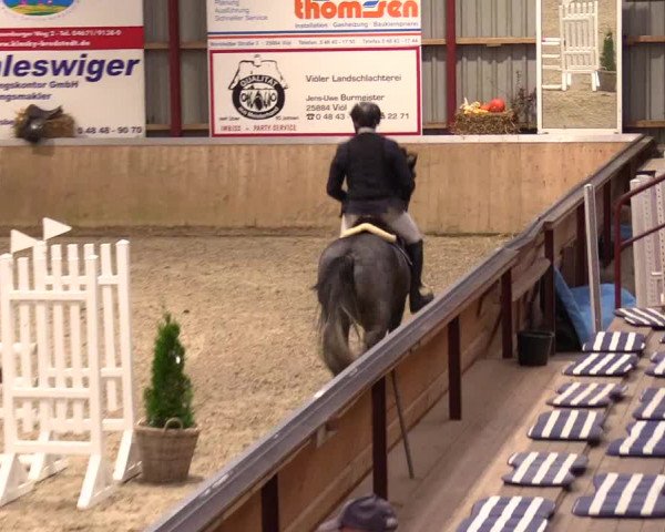 Reitturnier Behrendorf 2023