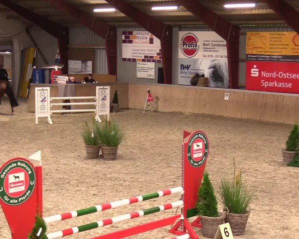 Reitturnier Behrendorf 2023