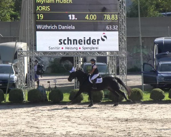 Reitturnier Basel/Schänzli 2023