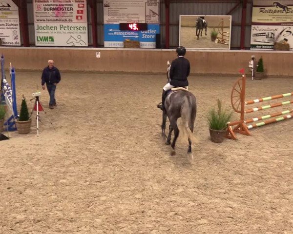 Reitturnier Behrendorf 2023