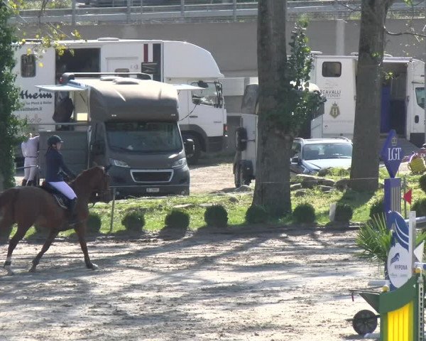 Reitturnier Basel/Schänzli 2023