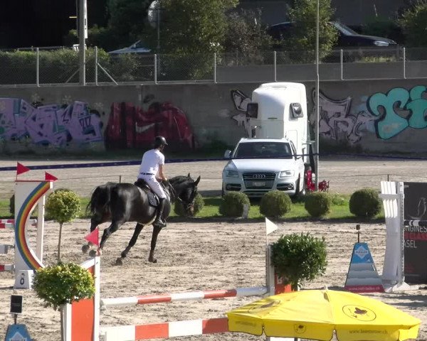 Reitturnier Basel/Schänzli 2023