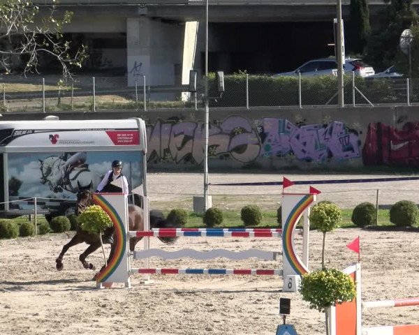 Reitturnier Basel/Schänzli 2023