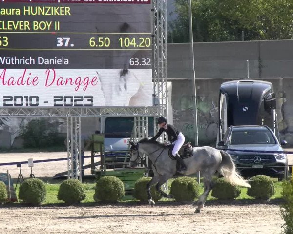Reitturnier Basel/Schänzli 2023