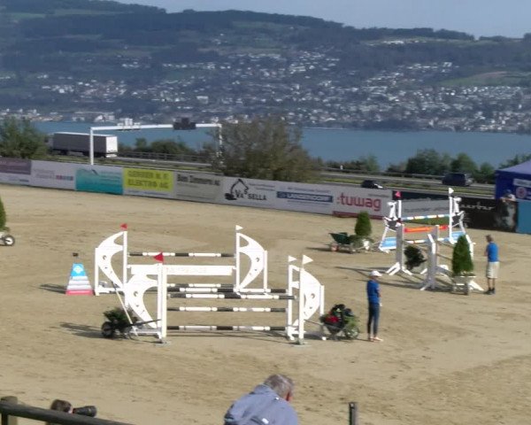 Reitturnier Wädenswil 2023