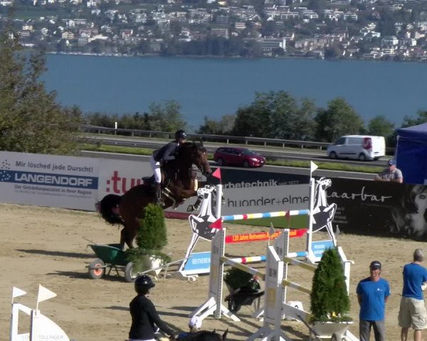 Reitturnier Wädenswil 2023
