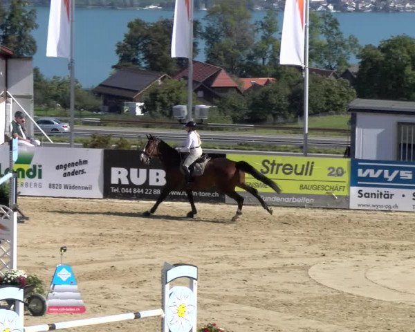 Reitturnier Wädenswil 2023