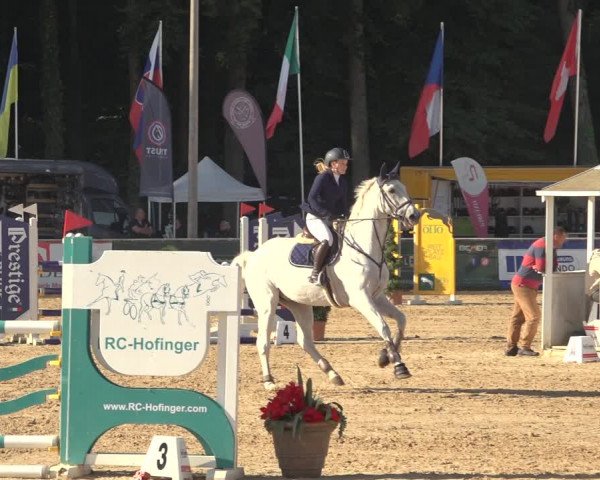 Reitturnier Ranshofen - Braunau am Inn 2023