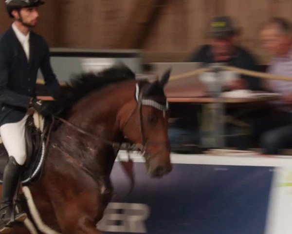 Reitturnier Böblingen 2023