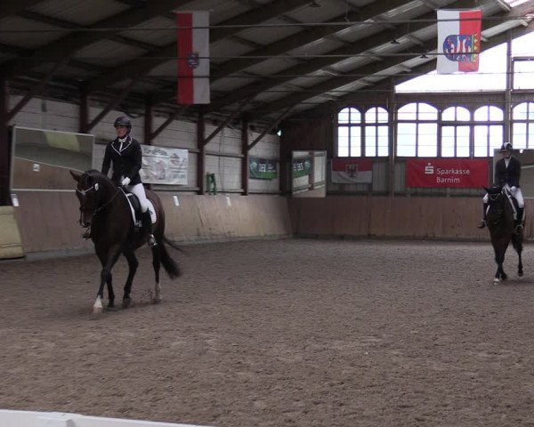 Reitturnier Elisenau 2023