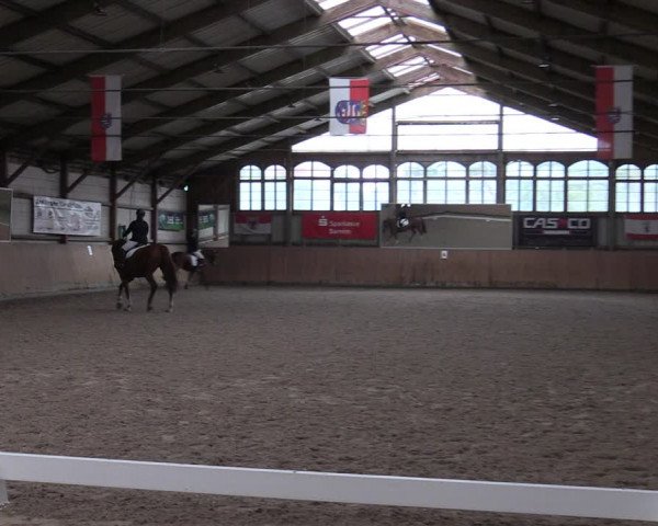 Reitturnier Elisenau 2023