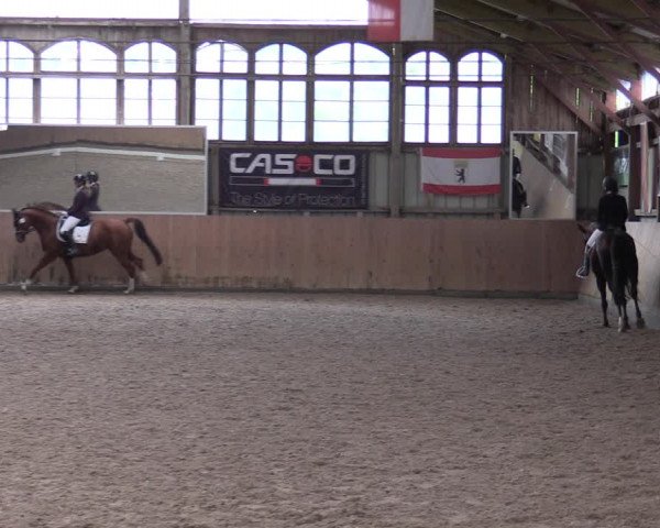 Reitturnier Elisenau 2023