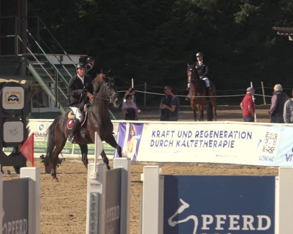 Reitturnier Ranshofen - Braunau am Inn 2023