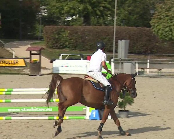 Reitturnier Frankenhof-Sonnefeld/Ofr. 2023