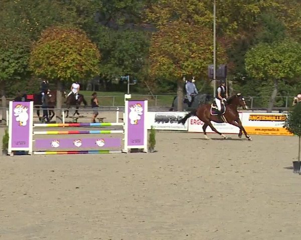 Reitturnier Frankenhof-Sonnefeld/Ofr. 2023