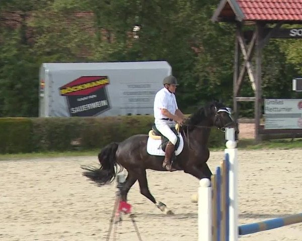 Reitturnier Frankenhof-Sonnefeld/Ofr. 2023