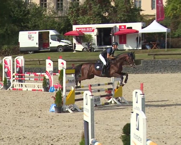 Reitturnier Frankenhof-Sonnefeld/Ofr. 2023