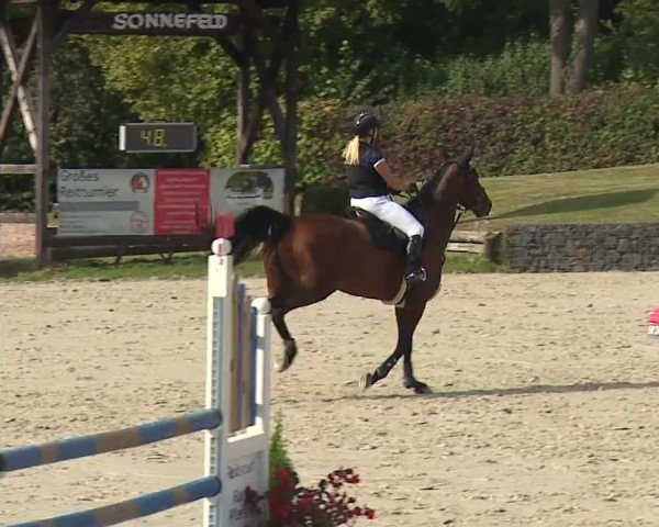 Reitturnier Frankenhof-Sonnefeld/Ofr. 2023