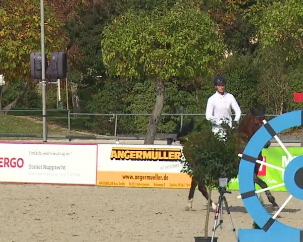 Reitturnier Frankenhof-Sonnefeld/Ofr. 2023