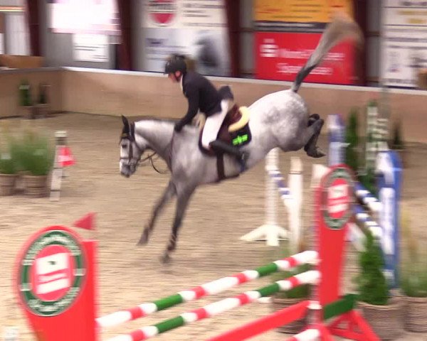 Reitturnier Behrendorf 2023