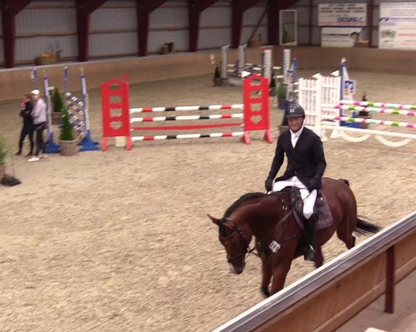 Reitturnier Behrendorf 2023