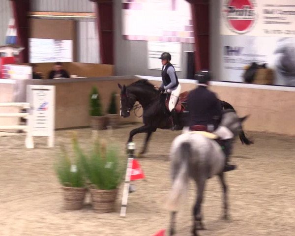Reitturnier Behrendorf 2023
