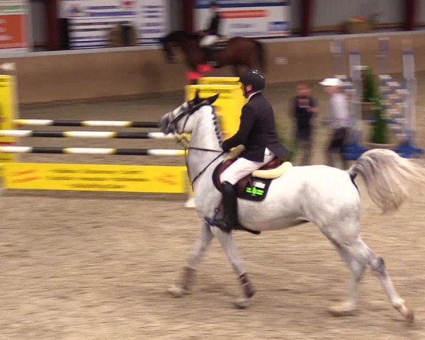 Reitturnier Behrendorf 2023