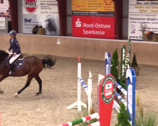 Reitturnier Behrendorf 2023