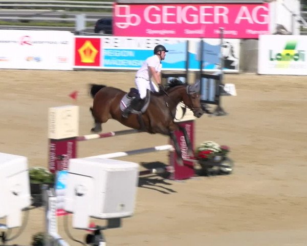 Reitturnier Wädenswil 2023