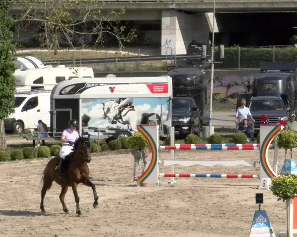 Reitturnier Basel/Schänzli 2023
