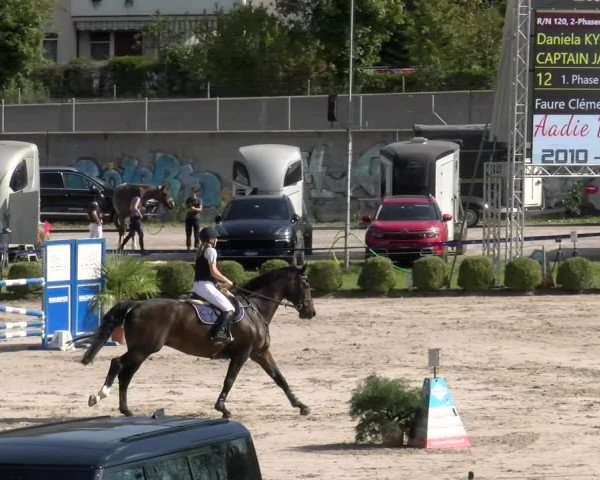 Reitturnier Basel/Schänzli 2023