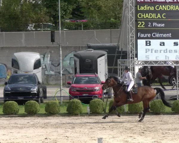 Reitturnier Basel/Schänzli 2023