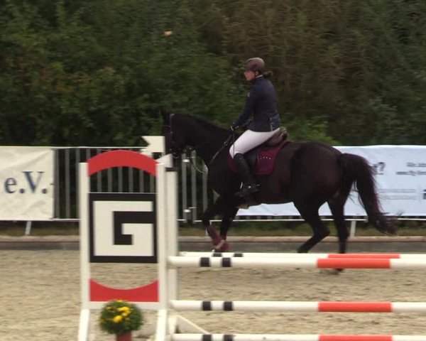 Reitturnier Sörup 2021