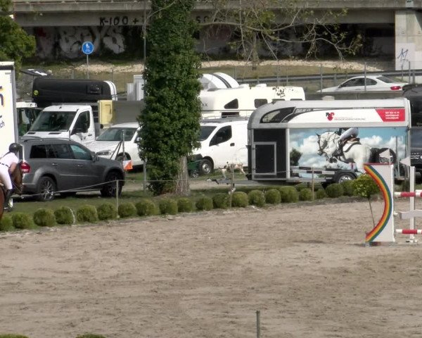 Reitturnier Basel/Schänzli 2023