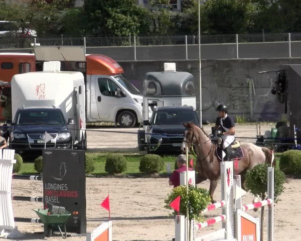 Reitturnier Basel/Schänzli 2023