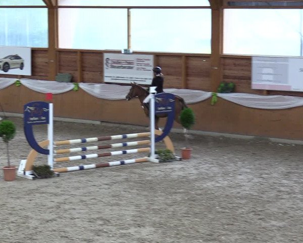 Reitturnier Xanten - Reitanlage Miss 2023