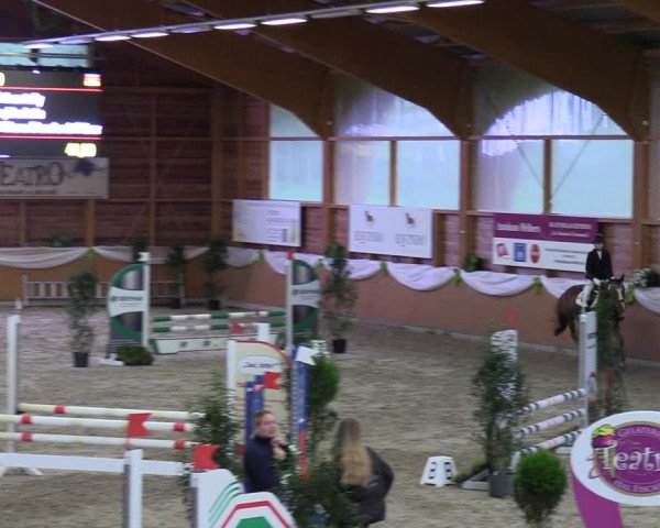 Reitturnier Xanten - Reitanlage Miss 2023