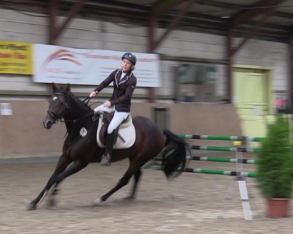 Reitturnier Elisenau 2023