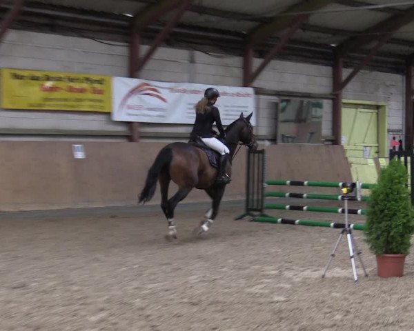 Reitturnier Elisenau 2023