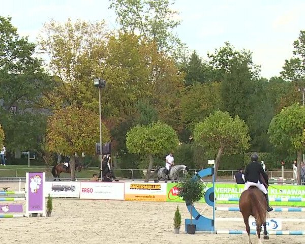 Reitturnier Frankenhof-Sonnefeld/Ofr. 2023