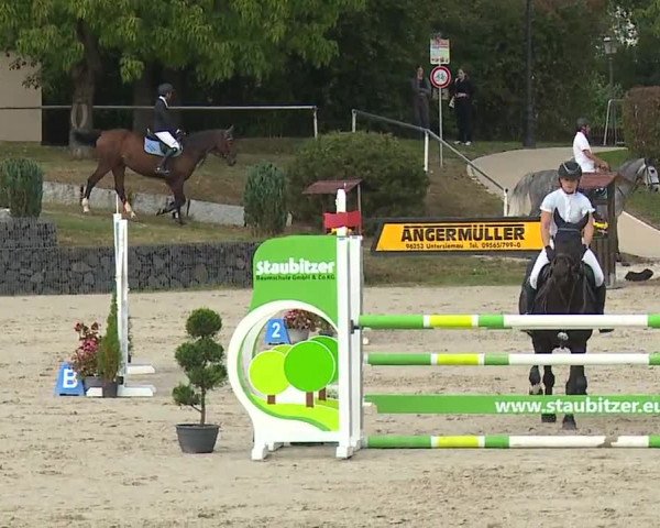 Reitturnier Frankenhof-Sonnefeld/Ofr. 2023