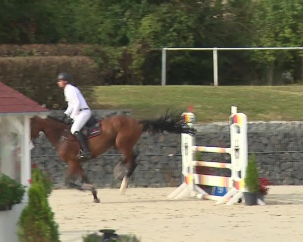 Reitturnier Frankenhof-Sonnefeld/Ofr. 2023